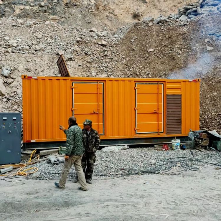 细水乡如何选择适合自己的 800KW 柴油发电机组?